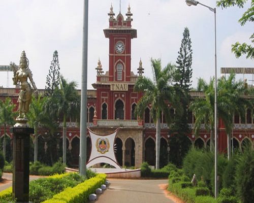 Tamil Nadu Agricultural University - [TNAU] Logo